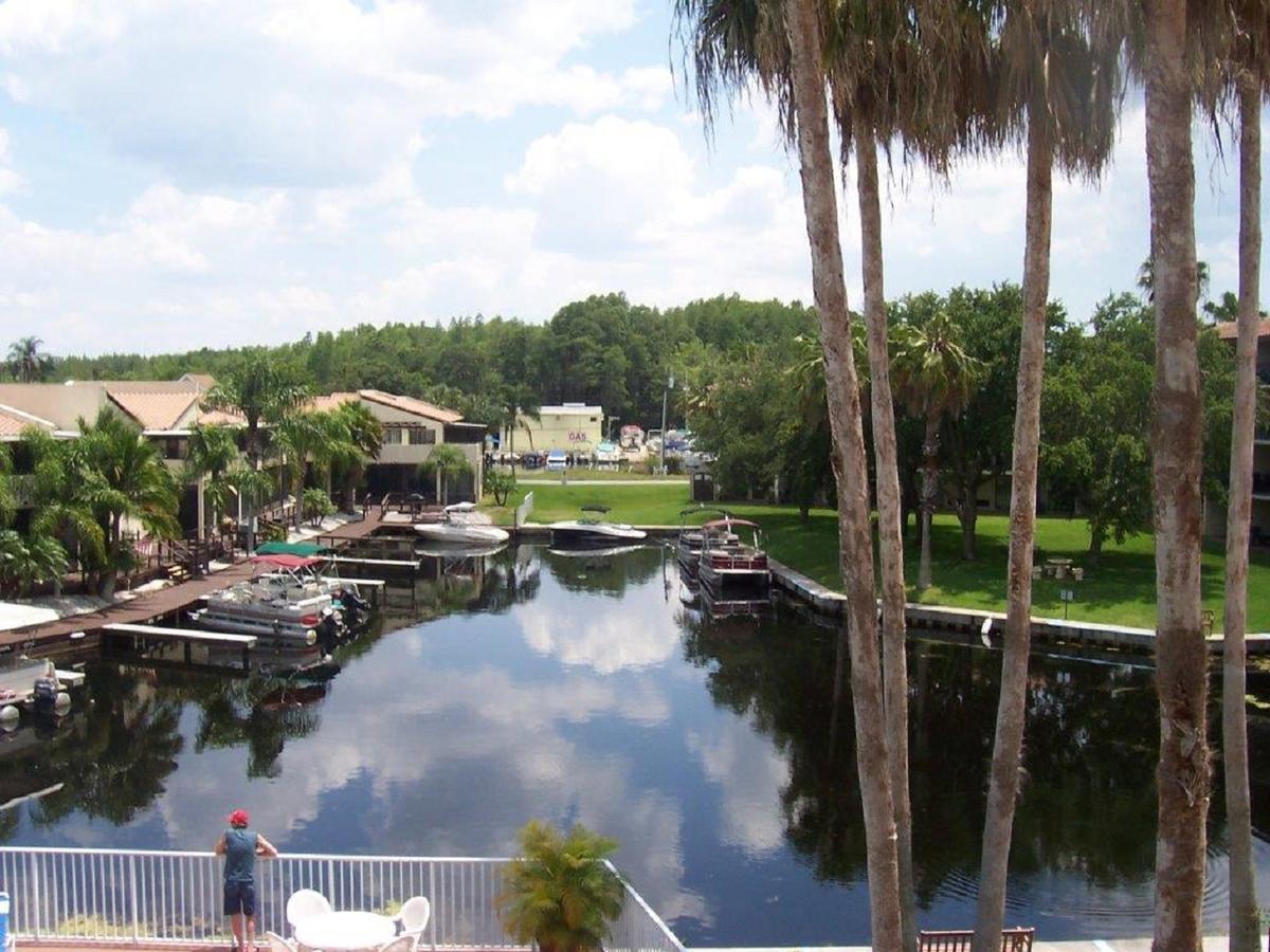 Vista Inn Lake Tarpon Palm Harbor Extérieur photo