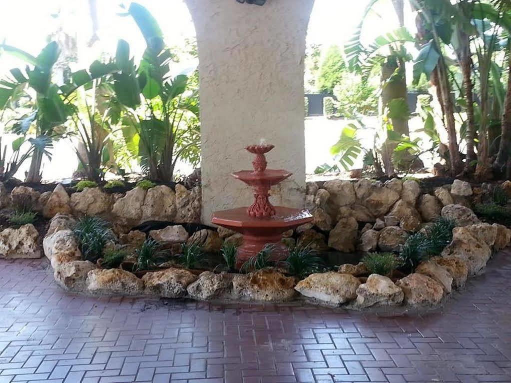 Vista Inn Lake Tarpon Palm Harbor Extérieur photo