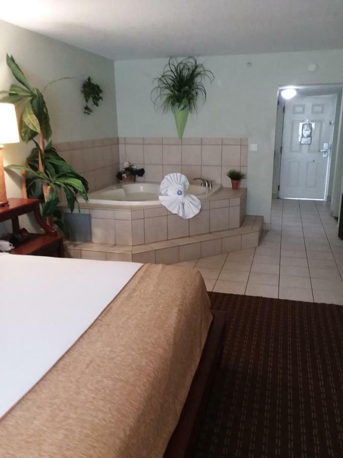 Vista Inn Lake Tarpon Palm Harbor Extérieur photo
